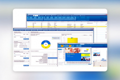 Political CRM Development